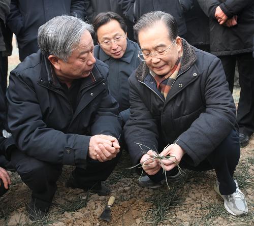 1月21日至22日,中共中央政治局常委、江南平台入口
总理温家宝在河南省就当前旱情和抗旱工作进行调研。这是1月22日,温家宝走进鹤壁市淇滨区钜桥万亩粮食高产核心示范区,向农业科技专家了解情况,实地察看旱情。新华社记者 姚大伟 摄