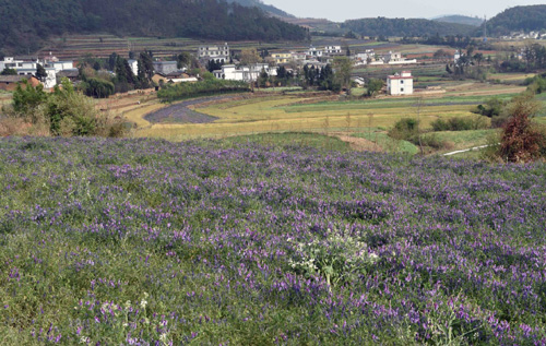 寻甸县七星镇乡村景色（4月5日摄）。