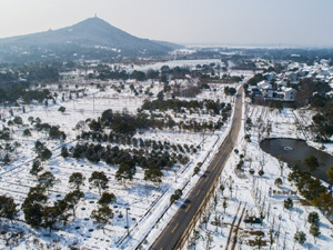 300雪后乡村1.jpg